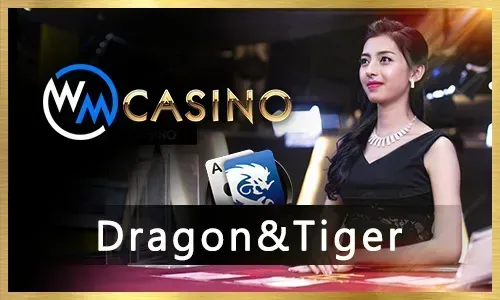 Trusted Live Casino Provider